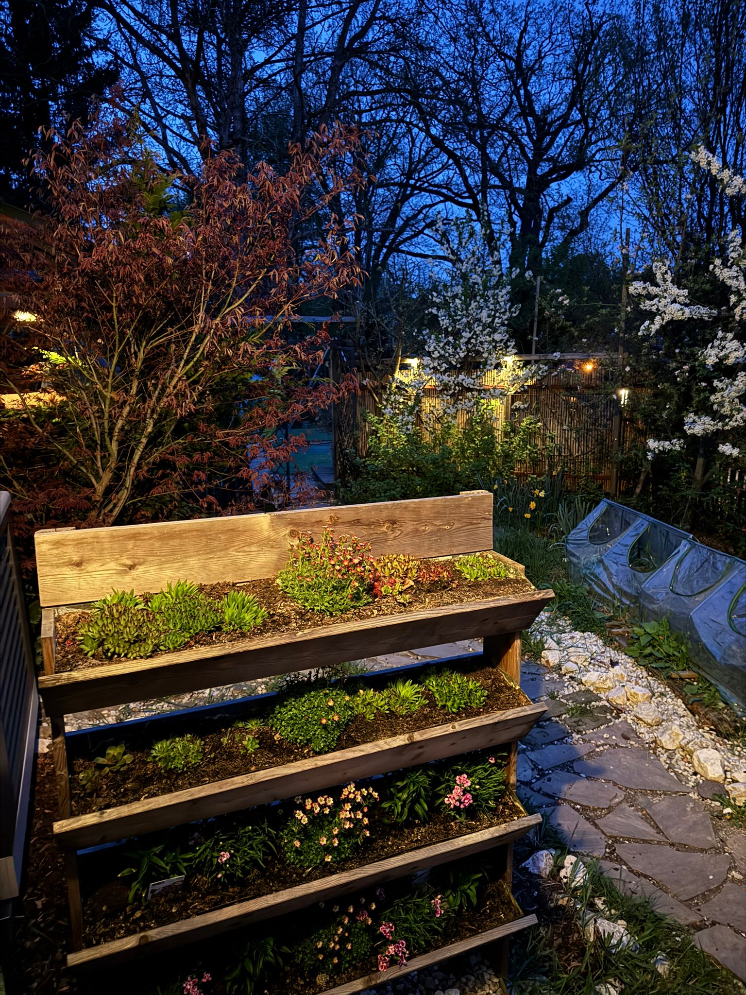 Garten 6 – Vogelmusik